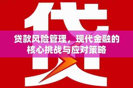 青阳贷款风险管理，现代金融的核心挑战与应对策略