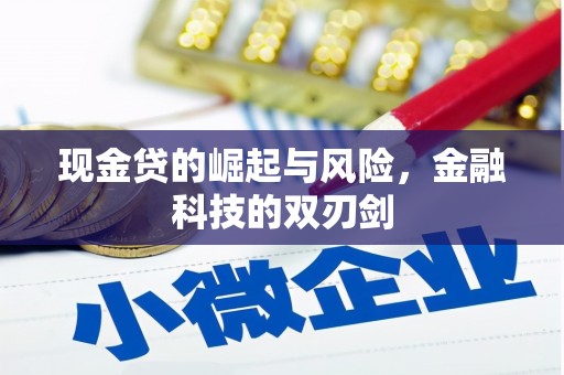 青阳现金贷的崛起与风险，金融科技的双刃剑