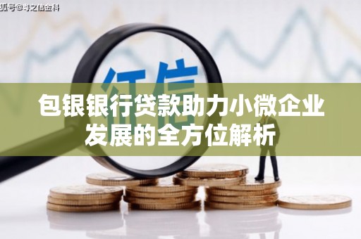 青阳包银银行贷款助力小微企业发展的全方位解析