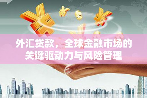 青阳外汇贷款，全球金融市场的关键驱动力与风险管理