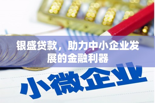青阳银盛贷款，助力中小企业发展的金融利器