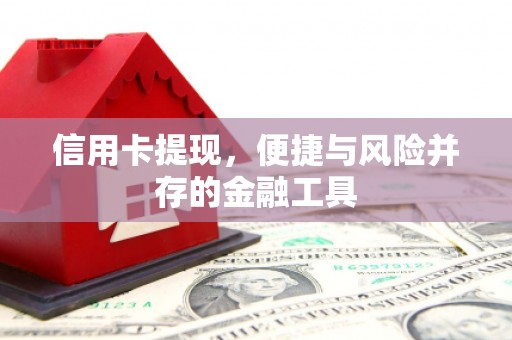 青阳信用卡提现，便捷与风险并存的金融工具