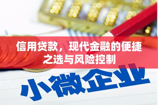 青阳信用贷款，现代金融的便捷之选与风险控制