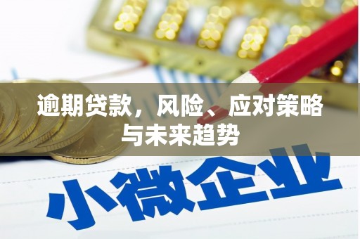 青阳逾期贷款，风险、应对策略与未来趋势