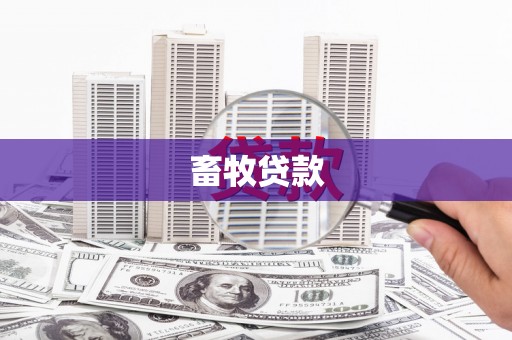 青阳畜牧贷款