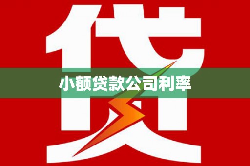 青阳小额贷款公司利率