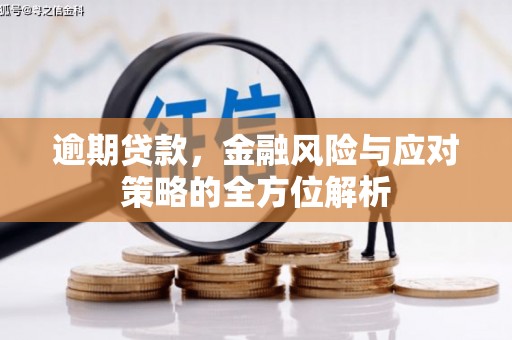 青阳逾期贷款，金融风险与应对策略的全方位解析