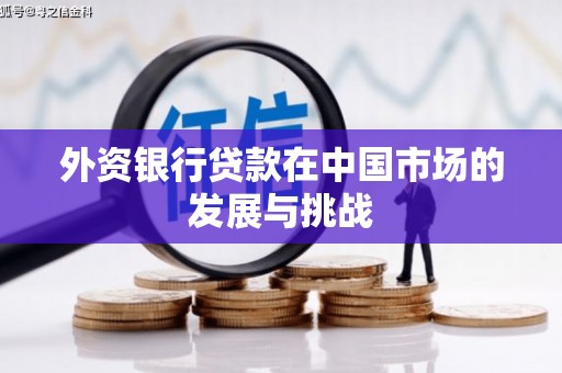 青阳外资银行贷款在中国市场的发展与挑战