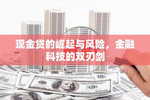 青阳现金贷的崛起与风险，金融科技的双刃剑