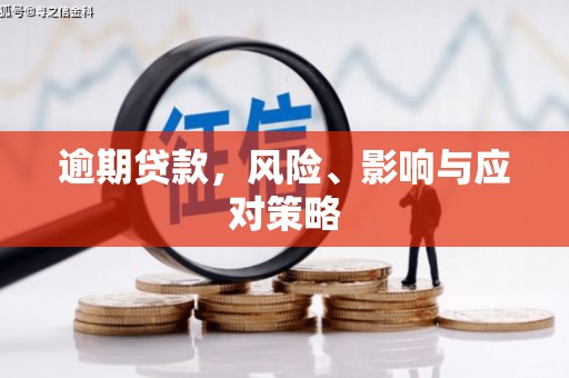 青阳逾期贷款，风险、影响与应对策略