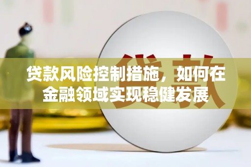 青阳贷款风险控制措施，如何在金融领域实现稳健发展
