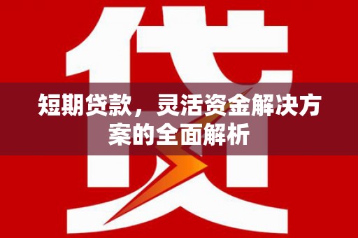 青阳短期贷款，灵活资金解决方案的全面解析