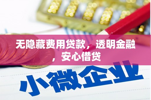 青阳无隐藏费用贷款，透明金融，安心借贷