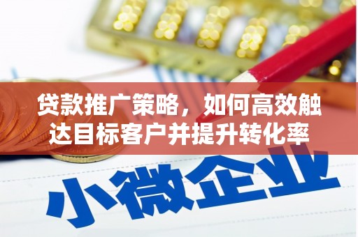 青阳贷款推广策略，如何高效触达目标客户并提升转化率