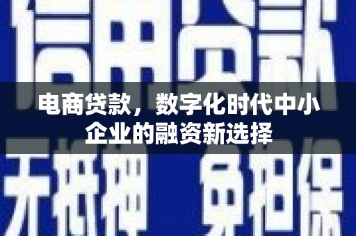 青阳电商贷款，数字化时代中小企业的融资新选择
