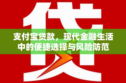 青阳支付宝贷款，现代金融生活中的便捷选择与风险防范