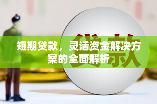 青阳短期贷款，灵活资金解决方案的全面解析