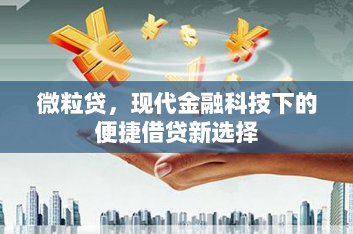 青阳微粒贷，现代金融科技下的便捷借贷新选择