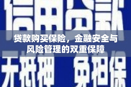 青阳贷款购买保险，金融安全与风险管理的双重保障