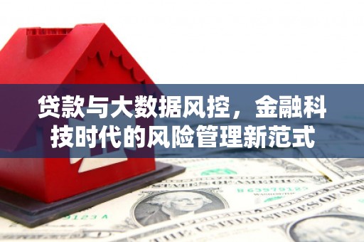 青阳贷款与大数据风控，金融科技时代的风险管理新范式