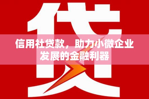 青阳信用社贷款，助力小微企业发展的金融利器