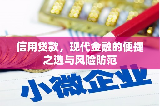 青阳信用贷款，现代金融的便捷之选与风险防范