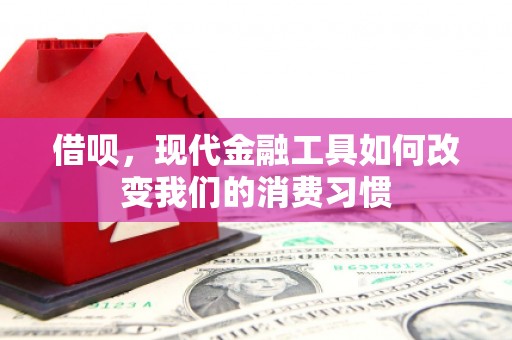 青阳借呗，现代金融工具如何改变我们的消费习惯