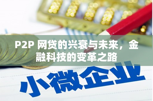 青阳P2P 网贷的兴衰与未来，金融科技的变革之路