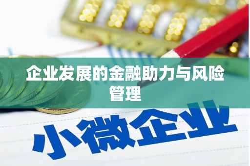 青阳企业发展的金融助力与风险管理