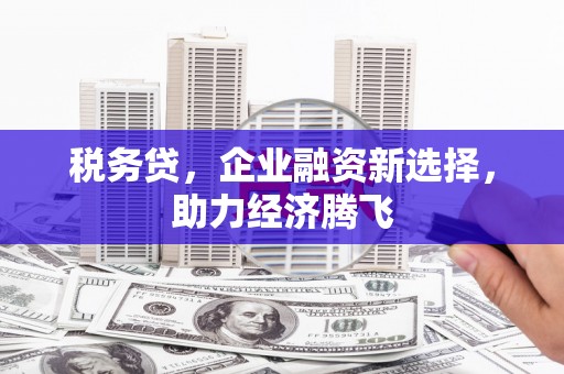 青阳税务贷，企业融资新选择，助力经济腾飞