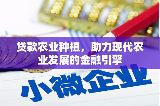 青阳贷款农业种植，助力现代农业发展的金融引擎
