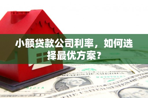 青阳小额贷款公司利率，如何选择最优方案？