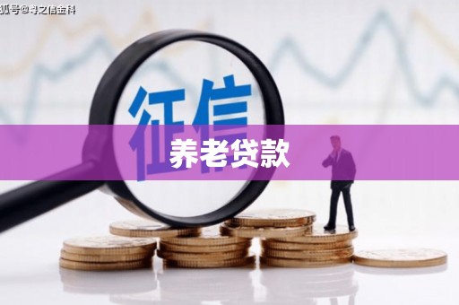 青阳养老贷款