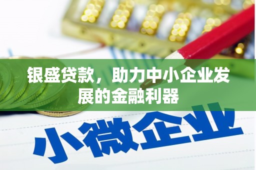 青阳银盛贷款，助力中小企业发展的金融利器