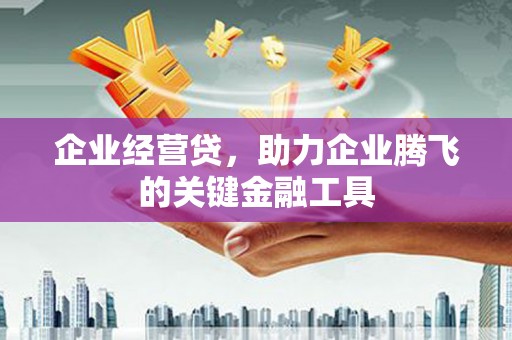 青阳企业经营贷，助力企业腾飞的关键金融工具