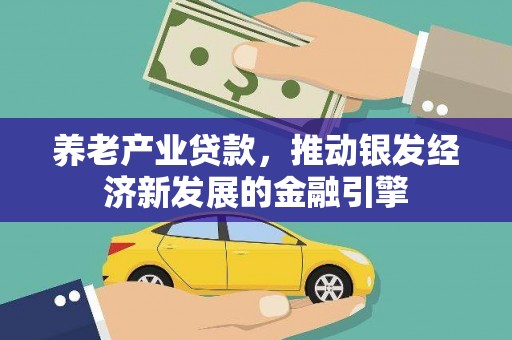 青阳养老产业贷款，推动银发经济新发展的金融引擎