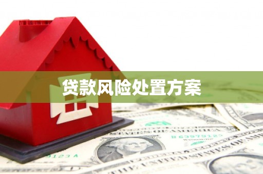 青阳贷款风险处置方案