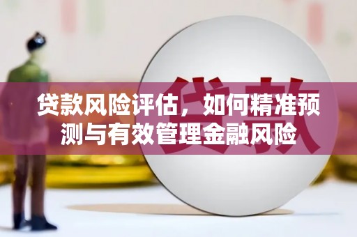 青阳贷款风险评估，如何精准预测与有效管理金融风险