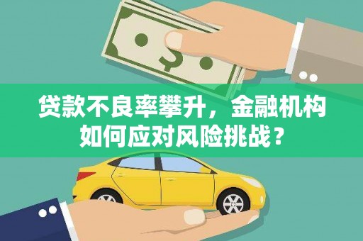 青阳贷款不良率攀升，金融机构如何应对风险挑战？