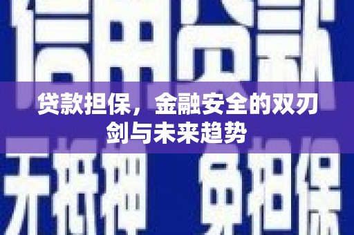 青阳贷款担保，金融安全的双刃剑与未来趋势