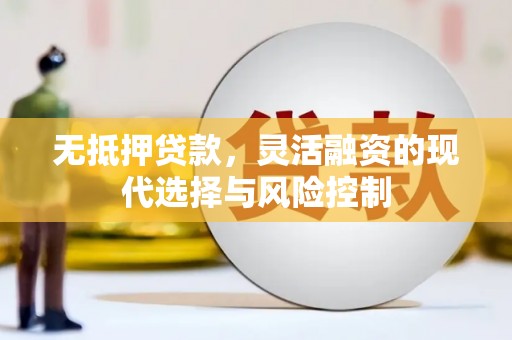 青阳无抵押贷款，灵活融资的现代选择与风险控制