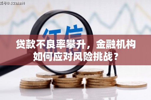青阳贷款不良率攀升，金融机构如何应对风险挑战？
