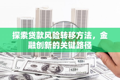 青阳探索贷款风险转移方法，金融创新的关键路径