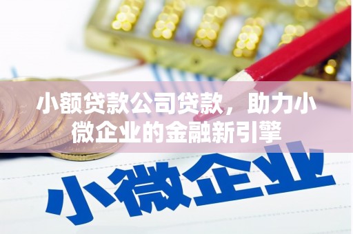 青阳小额贷款公司贷款，助力小微企业的金融新引擎