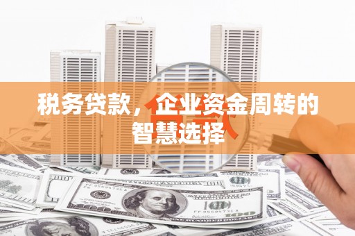 青阳税务贷款，企业资金周转的智慧选择