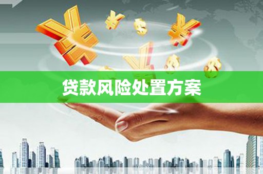 青阳贷款风险处置方案