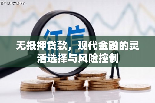青阳无抵押贷款，现代金融的灵活选择与风险控制