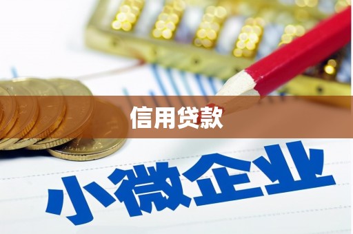 青阳信用贷款