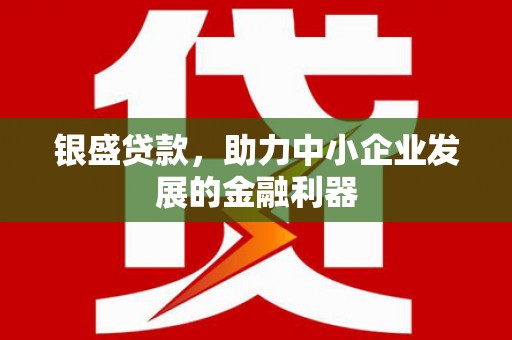 青阳银盛贷款，助力中小企业发展的金融利器