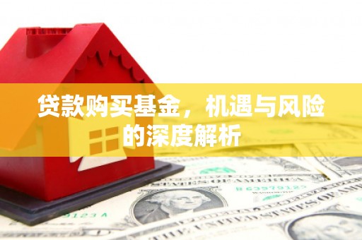 青阳贷款购买基金，机遇与风险的深度解析